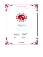 phân tích chiến lược marketing beamin vietnam