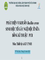 báo cáo tiểu luận nhóm 6