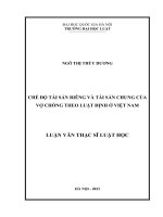 Luận văn thạc sĩ luật học: Chế độ tài sản riêng và tài sản chung của vợ chồng theo luật định ở Việt Nam