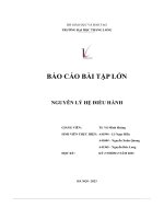 báo cáo bài tập lớn nguyên lý hệ điều hành