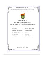 tiểu luận cuối kỳ đề bài văn hóa đông nam á mang tính thống nhất trong đa dạng