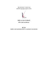 tiểu luận cuối kỳ môn quản trị chiến lược đề tài chiến lược kinh doanh củatậpđoànvicostone