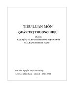 tiểu luận môn quản trị thương hiệu đề tài xây dựng và duy trì thương hiệu chuỗi cửa hàng th true mart