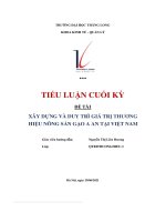 tiểu luận cuối kỳ đề tài xây dựng và duy trì giá trị thương hiệu nông sản gạo a an tại việt nam