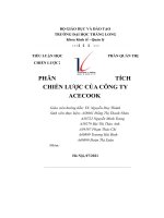tiểu luận học phần quản trị chiến lược phân tích chiến lược của công ty acecook