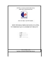 bbáo cáo thực tập tốt nghiệp phân tích hoạt động bán hàng của công ty tnhh đào tạo và làm đẹp lets beauty