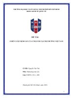 đề tài chiến lược định giá của unilever tại thị trường việt nam