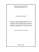 Luận văn thạc sĩ luật học: Áp dụng trách nhiệm pháp lý của thương nhân trong hoạt động thương mại điện tử tại Việt Nam