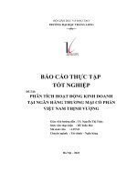báo cáo thực tập tốt nghiệp đề tài phân tích hoạt động kinh doanh tại ngân hàng thương mại cổ phần việt nam thịnh vượng
