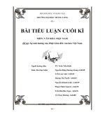bài tiểu luận cuối kì đề tài sự ảnh hưởng của phật giáo đến văn hóa việt nam