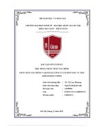 bài tập lớn cuối kỳ phân tích tài chính và định giá công ty cổ phần đầu tư thế giới di động mwg