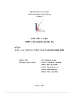 bài tiểu luận môn tài chính quốc tế đề tài cán cân vốn của việt nam năm 2020 2021 2022