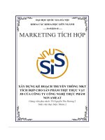 xây dựng kế hoạch truyền thông mkt tích hợp cho sản phẩm thịt thực vật 3d của công ty công nghệ thực phẩm novameat