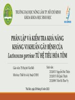 phân lập và kiểm tra khả năng kháng vi khuẩn gây bệnh của lactococcus garvieae từ hệ tiêu hóa tôm