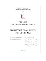 tiểu luận thị trường chứng khoán công ty cổ phần đầu tư nam long nlg