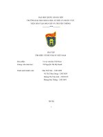 bài tập tìm hiểu về đô thị cổ việt nam