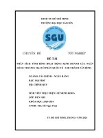 PHÂN TÍCH TÌNH HÌNH HOẠT ĐỘNG KINH DOANH CỦA NGÂN HÀNG THƯƠNG MẠI CỔ PHẦN QUỐC TẾ - CHI NHÁNH TÂN BÌNH