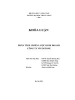 khóa luận phân tích chiến lược kinh doanh công ty vicostone