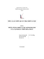 tiểu luận môn quản trị chiến lược đề tài phân tích chiến lược kinh doanh của tập đoàn thép hòa phát