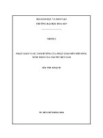 phật giáo và sự ảnh hưởng của phật giáo đến đời sống tinh thần của người việt nam
