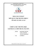 BÁO CÁO CUỐI KỲ MÔN QUẢN TRỊ THƯƠNG HIỆU  TIỂU LUẬN CHIẾN LƯỢC THƯƠNG HIỆU TẬP ĐOÀN CÀ PHÊ TRUNG NGUYÊN