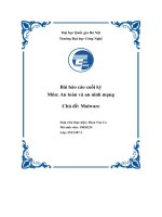 Bài Báo Cáo Cuối Kỳ Môn An Toàn Và An Ninh Mạng Chủ Đề  Malware.pdf