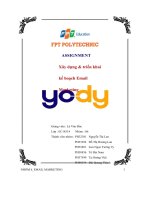 xây dựng triển khai kế hoạch email marketing yody