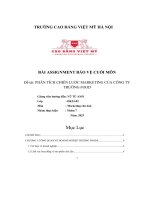 đề tài phân tích chiến lược marketing của công tytrường food