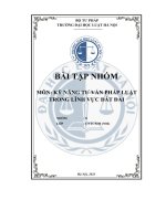 tiểu luận xác định những vấn đề pháp lý mấu chốt và những câu hỏi pháp lý đặt ra trong vụ việc nêu trên