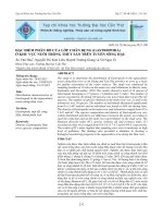 ĐẶC ĐIỂM PHÂN BỐ CỦA LỚP CHÂN BỤNG (GASTROPODA) Ở KHU VỰC NUÔI TRỒNG THỦY SẢN TRÊN TUYẾN SÔNG HẬU