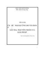tiểu luận ngoại ứng do ve dan gây ra nguyên nhân và giải pháp 488162