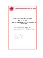 bài tập lớn môn phương pháp nghiên cứu khoa học ở trường đh