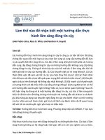 THẠC SĨ BÁC SĨ HỒ HOÀNG KIM – 1512C LÀM THẾ NÀO ĐỂ NHẬN BIẾT MỘT HƯỚNG DẪN THỰC HÀNH LÂM SÀNG ĐÁNG TIN CẬY