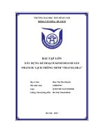 bài tập lớn xây dựng kế hoạch kinh doanh sản phẩm du lịch thông minh traveloka