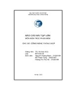 Báo Cáo Bài Tập Lớn Chủ Đề Công Nghệ Thông Điệp.pdf