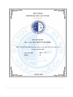 tiểu luận tuổi kết hôn theo luật hôn nhân và gia đình việt nam năm 2014 lí luận và thực tiễn