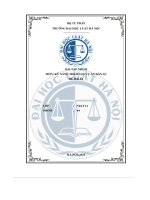 tiểu luận hồ sơ vụ án số 1 để nghiên cứu đánh giá những nội dung cơ bản và qua đó đềxuất phương án bảo vệ quyền lợi cho khách hàng