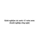 Kinh Nghiệm Về Các Vườn Ươm Doanh Nghiệp Công Nghệ.pdf