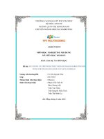 xây dựng và triển khai thực hiện kế hoạch marketing nội dung cho trang bán hàng lucasta handbag