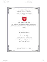 báo cáo thực tập công ty cho thuê tài chính ngân hàng thương mại cổ phần ngoại thương việt nam