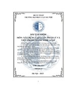 tiểu luận bài tập nhómmôn xây dựng lập luận pháp lý vàviết trong hành nghề luật