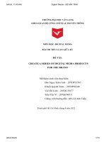 đề tài create a series of digital media productsfor the brand