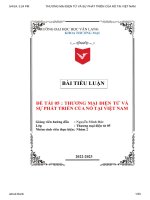 thương mại điện tử và sự phát triển của nó tại việt nam