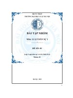tiểu luận hãy sưu tầm một quyết định sơ thẩm của toà án liên quan đếnviệc tuyên bố một cá nhân bị mất nlhvds hoặc bị hạn chế hànhvi dân sự mà theo quan điểm