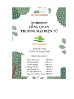 Tổng Quan Về Thương Hiệu Và Tác Động Của Thương Mại Điện Tử.pdf
