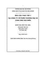 báo cáo thực tập 1 tại công ty cổ phần thương mại và cung ứng sao biển