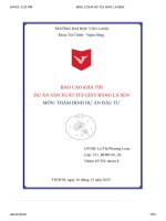 báo cáo khả thi dự án sản xuất túi giấy bằng lá sen