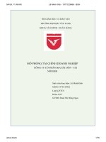 mô phỏng tài chính doanh nghiệp