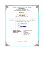 giải pháp chiến lược marketing mix cho nhãnhàng sản phẩm nước giải khát mirinda soda kem tại côngty suntory pepsico việt nam