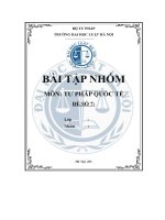 tiểu luận bình luận các quy định hiện hành của plvn về qhds theo nghĩa rộng có yếu tốnước ngoài